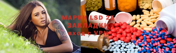 ПСИЛОЦИБИНОВЫЕ ГРИБЫ Беломорск