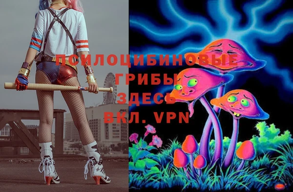 ПСИЛОЦИБИНОВЫЕ ГРИБЫ Беломорск