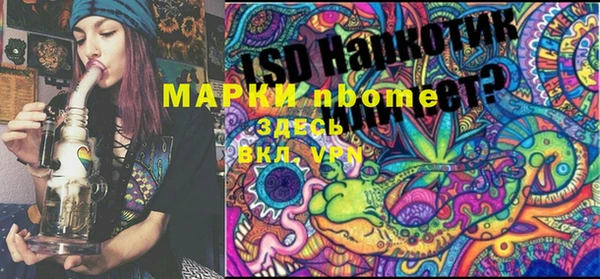 эйфоретик Белокуриха